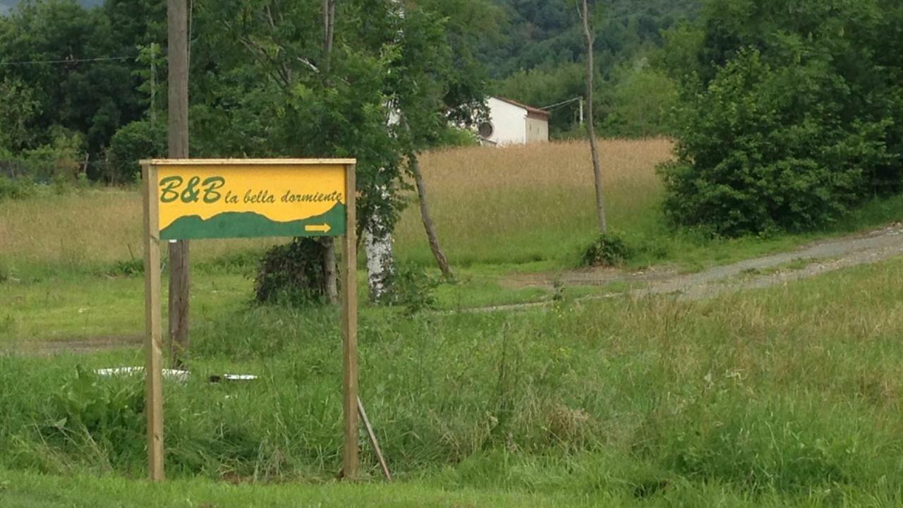 La Bella Dormiente B&B Castellamonte Eksteriør bilde